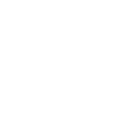 WSA